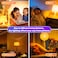 DALUXshop Amber Sleep Light Bulbs Blue Light Blocking A19 9W60 Watt Equivalent Dim Light Bulbs for Lamp 1800K Warm Light Bulb E26 for Healthy Sleep Bedroom Kids Room 430X235X235 Inch 2 Pack