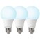 DEGNJU A19 LED Light Bulbs 60 Watt Equivalent LED Bulbs Daylight 5000K 800 Lumens E26 Standard Base NonDimmable 8W Warm White LED Bulbs for Bedroom Living Room3 Pack