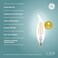 GE LED CA11 Dusk to Dawn LED Light Bulbs Automatic OnOff Outdoor Security Lights Daylight E12 Candelabra Base 2 Pack