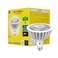 GE Ultra Bright LED Light Bulbs 250 Watt Daylight PAR38 Floodlights