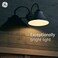 GE Ultra Bright LED Light Bulbs 250 Watt Daylight PAR38 Floodlights