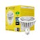 GE Ultra Bright LED Light Bulbs 250 Watt Daylight PAR38 Floodlights