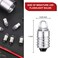 Honoson 10 Pieces E10 LED Bulbs 3 Volt Miniature Flashlight E10 Replacement Bulbs Mini Lamps Cool White