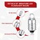 Honoson 10 Pieces E10 LED Bulbs 3 Volt Miniature Flashlight E10 Replacement Bulbs Mini Lamps Cool White