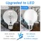 Marxlait 8 Pack Bathroom Light Bulbs 60 watt Equivalent E26 Medium Base Daylight 5000K G25 LED Globe Light Bulbs for Bathroom Vanity 120V Round Light Bulb Over Mirror Nondimmable