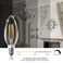 TJOY LED Candelabra Bulbs Dimmable 60W Equivalent Chandelier Light Bulb E12 Small Base 45W 2700K Soft Warm White B11 Vintage Filament Clear Glass Candle Light for Ceiling Fan Chandeliers 12Pack