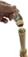 Celestial Lights Replacement Bulbs 6 Pack Twinkle for use in All Window Candles 3xAA or 4xAA Models 6