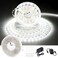CT CAPETRONIX White LED Strip Light 328 Feet 24 Volt LED Light Strip White 6000K6500K Daylight Super Bright LED Tape Light for Bedroom Kitchen Closet Cabinet Mirror IndoorDimmer Included