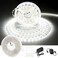 CT CAPETRONIX White LED Strip Light 328 Feet 24 Volt LED Light Strip White 6000K6500K Daylight Super Bright LED Tape Light for Bedroom Kitchen Closet Cabinet Mirror IndoorDimmer Included