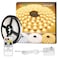 Lepro LED Tunable White Strip Light Warm to Cool White 164ft Dimmable Bright LED Tape Lights 300 LEDs 2835 Strong 3M Adhesive Not Cuttable Suitable for Christmas Decorations Home Bedroom