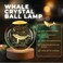 Flexzion 3D Whale Crystal Ball Night Light LED Light Hologram Glass Lamp with Solid Wood Base USB Powered Crystal Ball Lamp with Adjustable Brightness for Home Decor Display Gift 24inch60mm