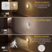 L LOHAS LED Motion Sensor Night Light2PACK Night Lights Plug into WallMotion Sensor and Dusk to Dawn Sensor3000K Soft White3060100lm Brightness DimmableNightlight for Bathroom Hallway