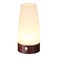 ZEEFO Retro LED Night Light PIR Motion Sensor LightActivated Step Lighting LampsIndoorOutdoor Battery Operated Lamp Sensitive Portable Moving Table Lamp for Kids RoomHallwayRound Shape