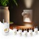 GEPLAD 6Pack LED Night Light Plugin Wall Outlet Light Soft White 3000KDusk to Dawn NightlightAmbient LightingNightlight for Bedroom Bathroom Nursery Hallway Kitchen