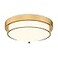 Cargifak Flush Mount Light Fixture 12 inch 2Light Modern Ceiling Light with Brass Gold Finish for Hallway Kitchen Laundry Bedroom 4822BB