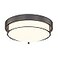Cargifak 12 inch Flush Mount Ceiling Light 2Light Close to Ceiling Light Fixtures with Oil Rubbed Bronze Finish for Bathroom Bedroom Kitchen Hallway 4822ORB