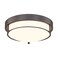 Cargifak 12 inch Flush Mount Ceiling Light 2Light Close to Ceiling Light Fixtures with Oil Rubbed Bronze Finish for Bathroom Bedroom Kitchen Hallway 4822ORB