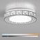 Lightania 16 Inch Flush Mount Ceiling Light Modern Brushed Nickel LED Ceiling Light Fixture 28W 2800LM 27006500K Adjustable Dimmable Ceiling Lights for Bedroom Kitchen Hallway Bathroom ETL