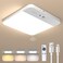 NARUNDREN Rechargeable Motion Sensor Ceiling Light Wireless LED Light with Remote 400LM 3 Color Dimmable for Closet Indoor Use