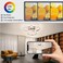 Vloitgol Led Ceiling Light Fixtures Dimmable Modern Led Ceiling Light with Remote Control 3000K6500K Flush Mount Ceiling Light for Bedroom Living Room Dining Room Kitchen Chrome