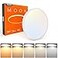 TALOYA Flush Mount 12 Inch Ceiling Light Milk White Shell 20W Surface Mount LED Light Fixture for Bedroom Kitchen5 Color Temperatures in One094 Inch Thickness Round