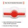 Lswteiz 6Pcs 12 PVC Ball Valve Water Pipe Shutoff Valve Socket with Red THandle for Cold Water Supply lines Irrigation Pipe fitting SystemSocket x Socket Schedule 40