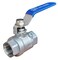 POTONZ Full Port Ball Valve 12 NPT Heavy Duty Stainless Steel 304 For WaterOil and Gas with Blue Handles1000WOG