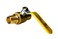XFITTING 1 in Pex Ball Valve 5 Pieces