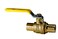 XFITTING 1 in Pex Ball Valve 5 Pieces