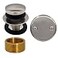 Westbrass Universal Fine or Coarse Thread Replacement TipToe Strainer Drain with 2Hole Faceplate Satin Nickel D93K07