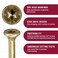 GRK Fasteners R4 10 x 434 Inch MultiPurpose Framing Screws 50 PCS Rust Resistant Climatek Coating Outdoor Fencing and Deck Screws Fast Bite Tip Star Drive Recess T25 Bit Included Gold