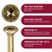 GRK Fasteners R4 10 x 434 Inch MultiPurpose Framing Screws 50 PCS Rust Resistant Climatek Coating Outdoor Fencing and Deck Screws Fast Bite Tip Star Drive Recess T25 Bit Included Gold