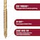 GRK Fasteners R4 10 x 434 Inch MultiPurpose Framing Screws 50 PCS Rust Resistant Climatek Coating Outdoor Fencing and Deck Screws Fast Bite Tip Star Drive Recess T25 Bit Included Gold