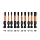 Railer Torx Bit Set Premium S2 Steel 2 Inch Impact Driver 10Piece 6 Star Bit Set With A Tool Storage Bit Holder Carabiner Black Bitrail Standard Bitrail