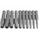 Teocpai 10Pcs Magnetic Pentagon Head Screwdriver Bits Set 14 Inch Hex Shank 215735mm Security Screw Driver Drill Bit 50mm 5 Sided Security Tamper Proof Drive Bit