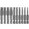 Eyech 10pcs Magnetic Pentagon Head Screwdriver Bits Set 14 Inch Hex Shank 5 point Security Tamper Proof Drive Bit 215735mm50mm CrV