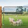 Insaga 2pcs Wall Mount Gate Hinge for Farm Gate 304 Stainless Steel Gate Hinges Hardware Non Welded Wall Plate Hinges Chain Link Gate Hinge with 58 Hinge Pin Screws Not Included
