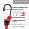 CARTMAN Cartman 8mm 16Pack Bungee Cords 6pcs 32 10pcs 24 with Steel Hook