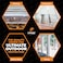 Xpose Safety 8 x 10 Clear Vinyl Tarp Fire Retardant 20 Mil Super Heavy Duty Transparent Waterproof PVC Tarpaulin with Brass Grommets for Patio Enclosure Temporary Wall Multipurpose by