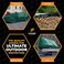 Xpose Safety Heavy Duty Poly Tarp 5 X 7 10 Mil Thick Waterproof UV Blocking Protective Cover Reversible Green and Black Laminated Coating Grommets by