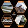 Xpose Safety Heavy Duty White Poly Tarp 12 X 20 Multipurpose Protective Cover Durable Waterproof Weather Proof Rip and Tear Resistant Extra Thick 12 Mil Polyethylene by