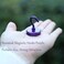 Neosmuk Magnetic Hooks 85lb Heavy Duty Purple 6 Pack