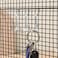 Angoily 20Pcs Metal Pegboard Hooks for Hanging Tools Jewelry Keys Small Items Durable Peg Board J Hooks for Garage Workshop Wall Organizer