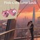 LITAITAI Heart Shaped PadlockLove PadlockSmall Locker LocksLove Lock for Jewelry Storage Box Locker Decor Valentine GiftComboLockGym Locker Lock Purple2pcs