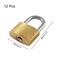 Litoexpe 12 Pieces Mini Locks with Keys Small Solid Brass Padlock Suitcase Locks for Luggage Backpacks Toolbox Jewelry Box Storage Unit School Gym Locker
