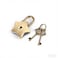 XIANERHUI 2Pack Mini Cute Star Shaped Padlock with Key for Jewelry Box Purse Handbag Cabinet Treasure Chest Luggage Letter Box Diary BronzeLight