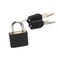 Teensery 2Set Mini Padlocks Set Luggage Locks with 2 Keys Waterproof Safely Padlock for Backpacks Computer Bags Gym Locker Tool Box Diary Key Lock Black