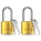 DELSWIN Weatherproof Padlock with Key Keyed Alike Heavy Duty Solid Brass Locker Lock with 1916 Long Shackle Marine Grade Pad Lock for Outdoor Gate Fence Shed 2 Pack