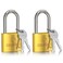 DELSWIN Weatherproof Padlock with Key Keyed Alike Heavy Duty Solid Brass Locker Lock with 1916 Long Shackle Marine Grade Pad Lock for Outdoor Gate Fence Shed 2 Pack