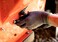 G & 12 PAIRS Mens Working Gloves with Micro Foam Coating Garden Gloves Texture Grip mens Work Glove For general purpose construction yardwork XLargeGreyBlack